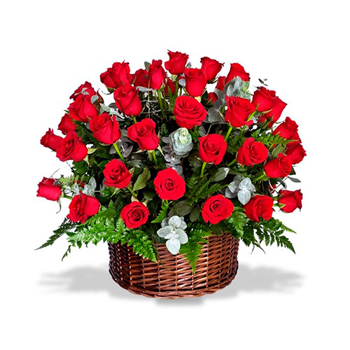 Rosas and dollar C09